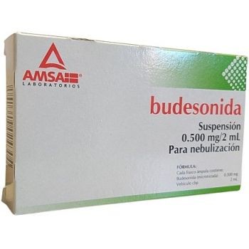 Budesonida susp. 500mg c/5 nebulizaciones