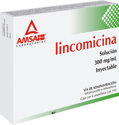 LINCOMICINA SOLUCION 300MG C/6 AMP. IM o IV