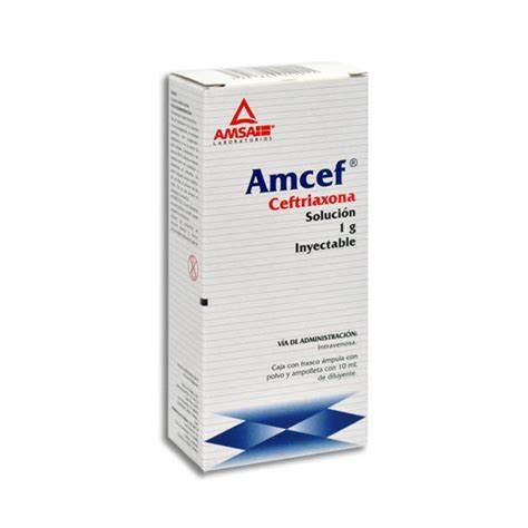 AMCEF Sol. Iny. IV. c/1 FCO. AMP. 1 G/10 ML.