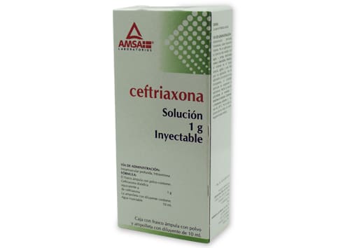 Ceftriaxona Sol. Iny 1 gr (Amsa)