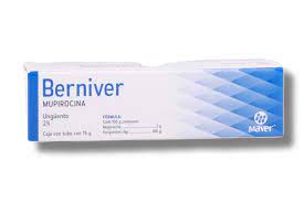 BERNIVER UNGUENTO 2 % TUBO 15 G