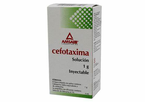 Cefotaxima 1gr ampula inyectable (Amsa)